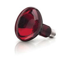 Lâmpadas infravermelho incandescentes Philips